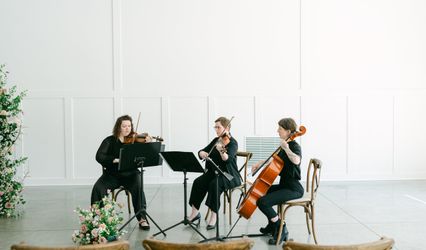 Watercress Strings