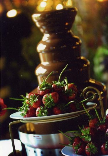 The Chocolate Chick