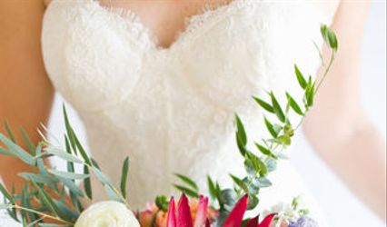 Dashwood Floral