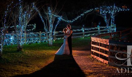 Addy Photography