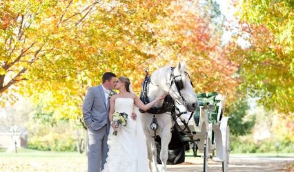 Yellow Rose Carriages