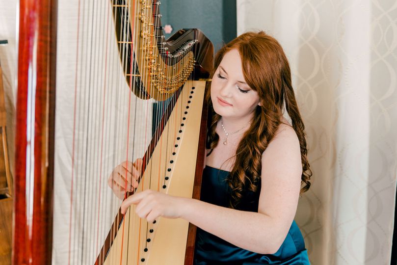 Pedals and Harp Strings