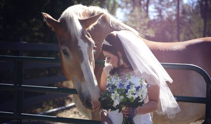 Courtney Ranck-Copher Photography