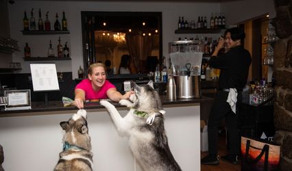 The Top Dog Resort