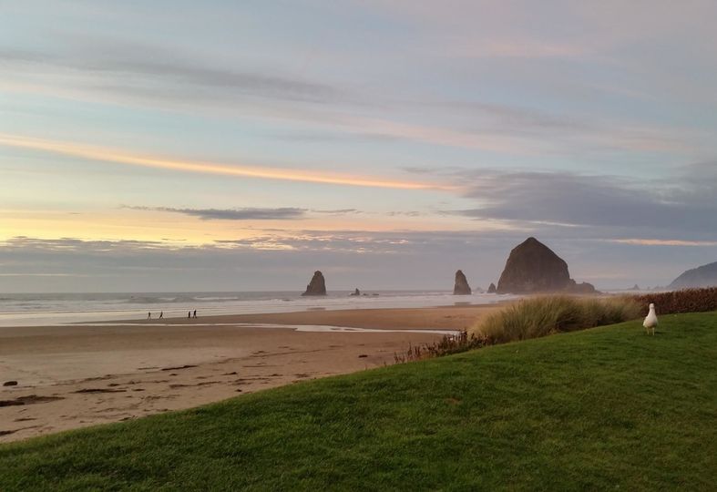 Beach Weddings On The North Oregon Coast Officiant Seaside Or