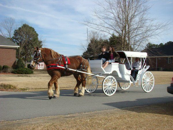 Dixie Carriages