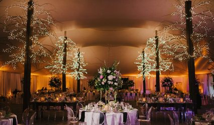 Lark & Willow Events