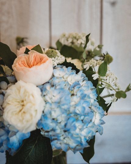 Amanda Tucker Photography