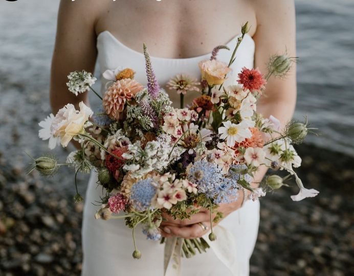 Daisies in May