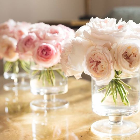 Topher Mack Floral & Events
