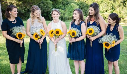 Tessa Sollway Photography