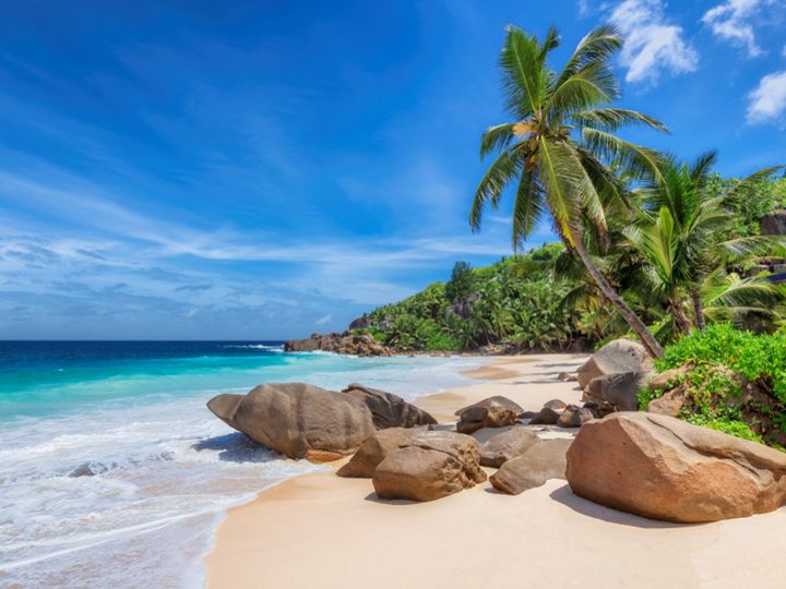 Wanderlust Travel Dreams