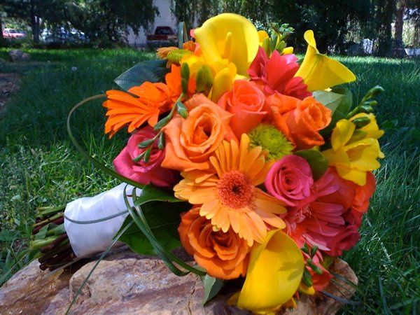 Posh Posy