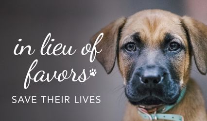 North Shore Animal League America