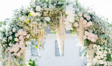 Melody Carmody Photography