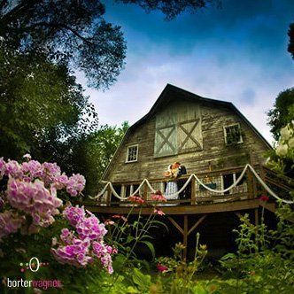 borterwagner photography
