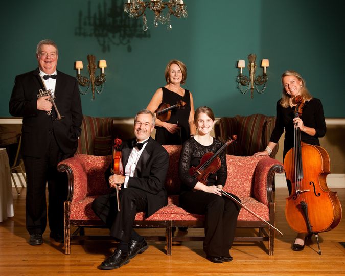 Maxwell String Ensemble