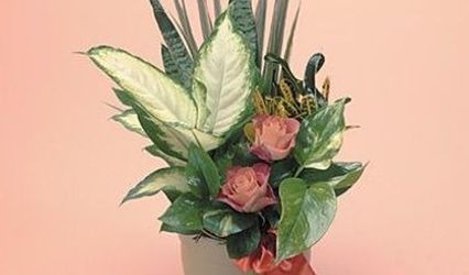 Cool Florist and Gifts