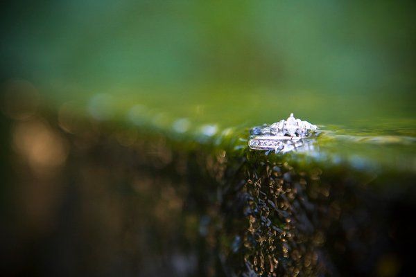 Bridal Illusions