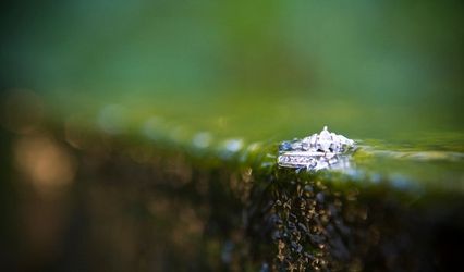 Bridal Illusions
