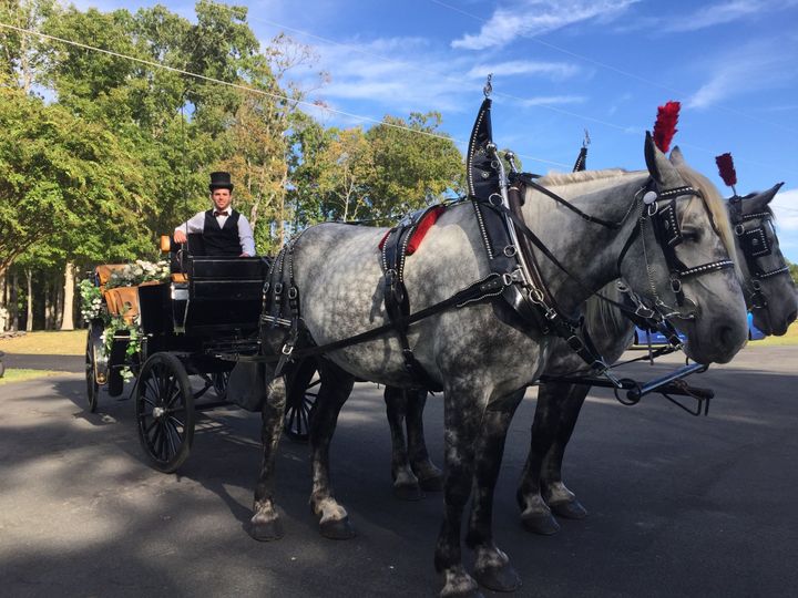 Carolina Carriage Company