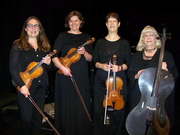 Ptarmigan Classical and Rock String Quartet