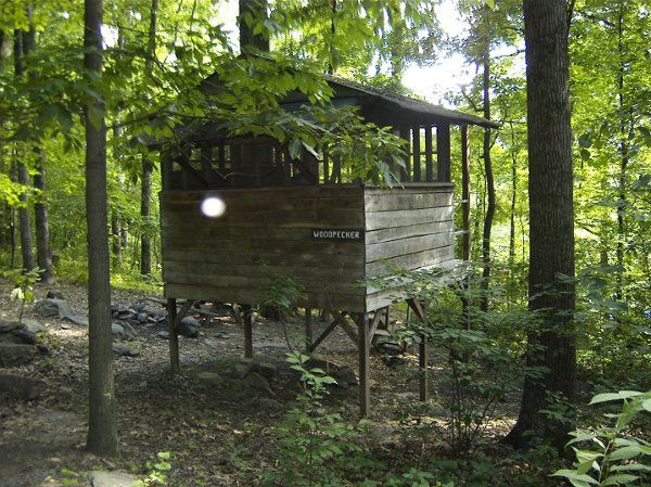 treehouse campground