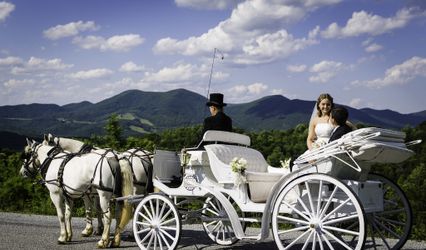 Lexington Carriage Company