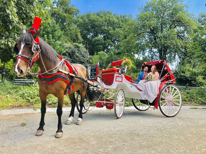 Top Hat NY Horse & Carriage