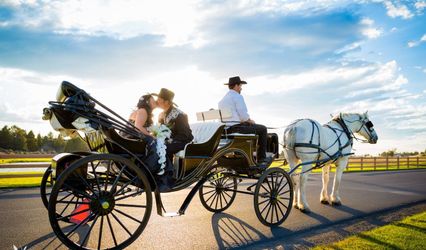 Cowboy Carriage