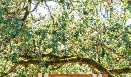 Mount Pisgah Arboretum