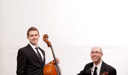 Penguin Wedding Music