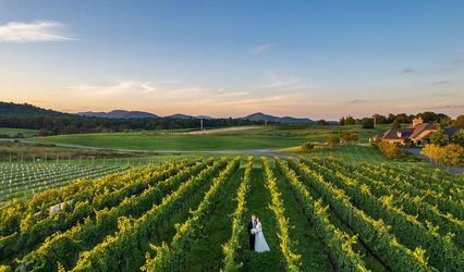 Early Mountain Vineyards