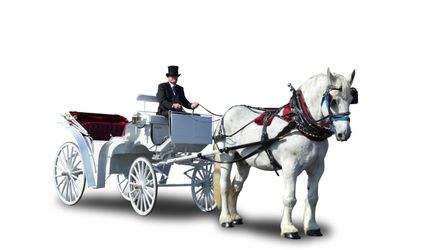 Horse Drawn Carriages & Hearse of Texas LLC