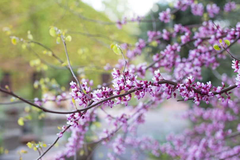 Hello Lovely Images