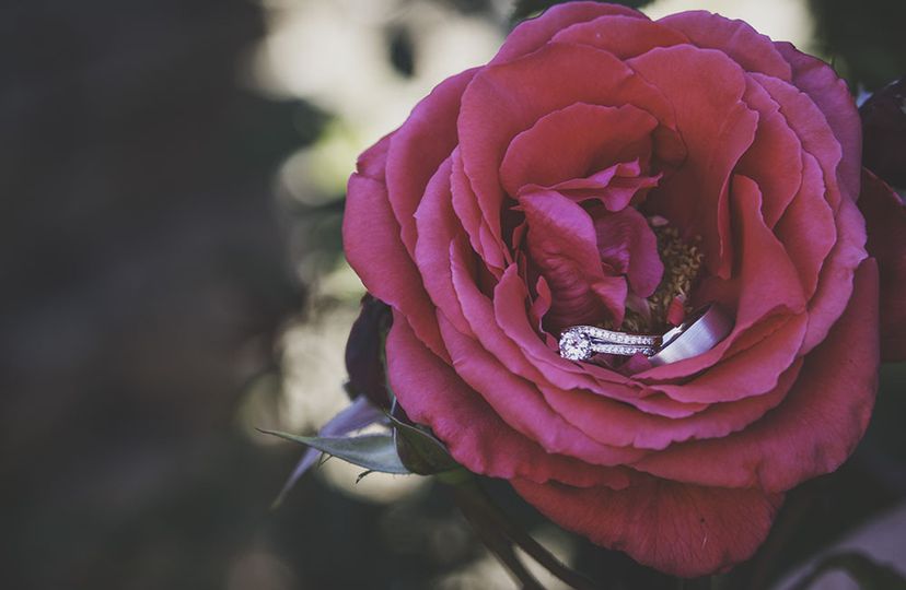 LD Photography