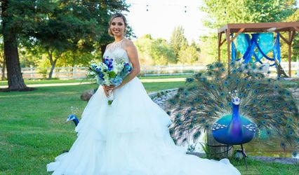 Lady Leah Events