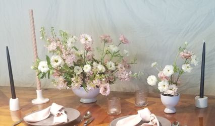 The Uprooted florist