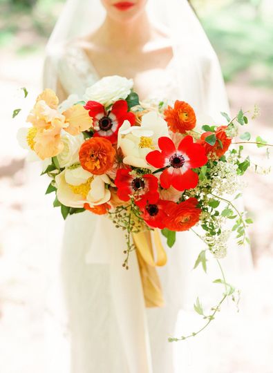 Wild Bloom, LLC