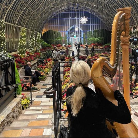 Harpist Laurie Leigh