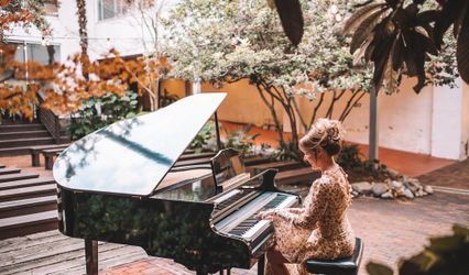The Wilmington Pianist