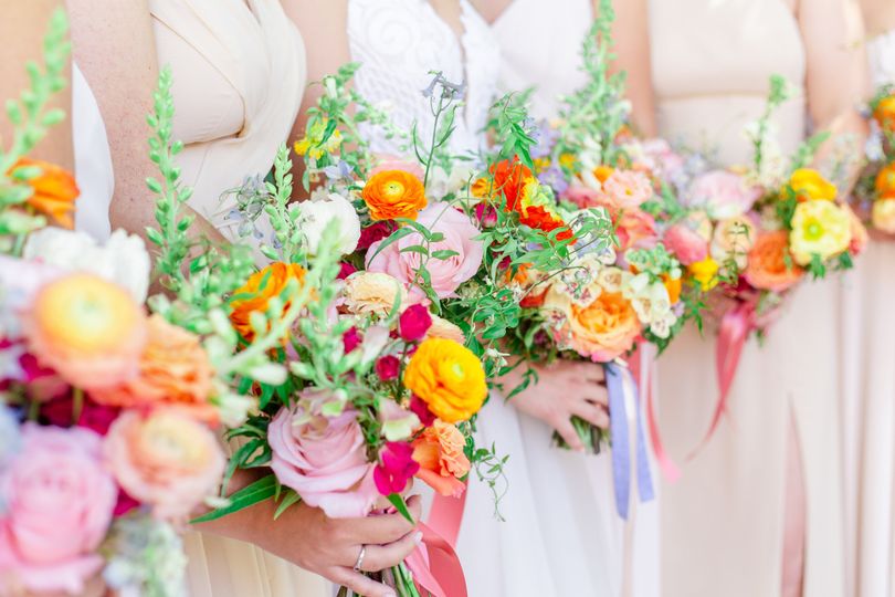 Bethany Lane Photography
