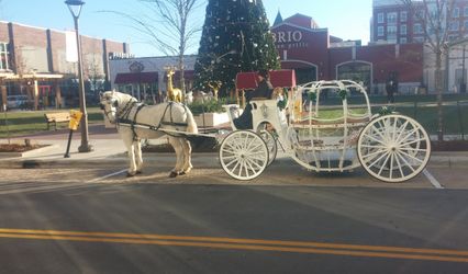Willow Wind Carriage & Limousine Service
