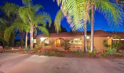 The Palm Canyon