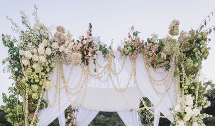 Ampersand Weddings & Events