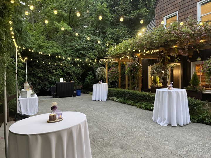 Willow & Wisteria