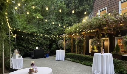 Willow & Wisteria