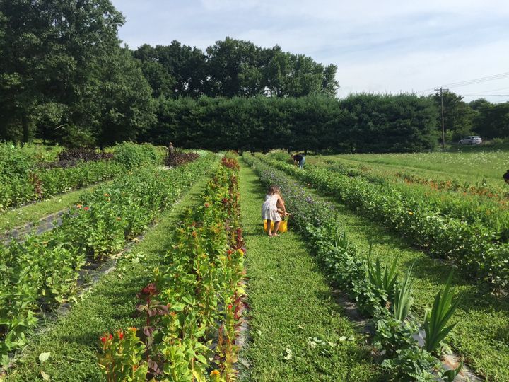 Brittany Hollow Farm
