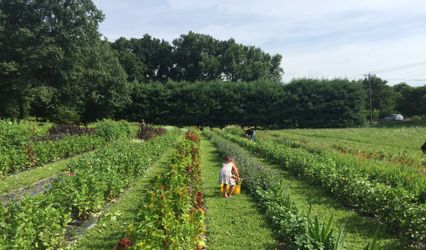 Brittany Hollow Farm