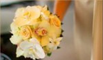Metro Luxe Events Candice Vallone